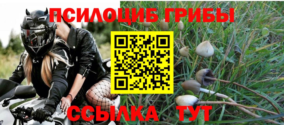 ГЕРОИН  Зима  Бошки Шишки  MDMA  Гашиш  Мефедрон кристаллы  Вход с VPN  КОКАИН 