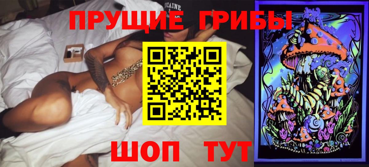 хочу наркоту  Вход с VPN  Зима  Галлюциногенные грибы прущие грибы 